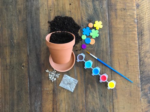 FLOWER POT COLORING INCLUDING SOIL AND SEEDS